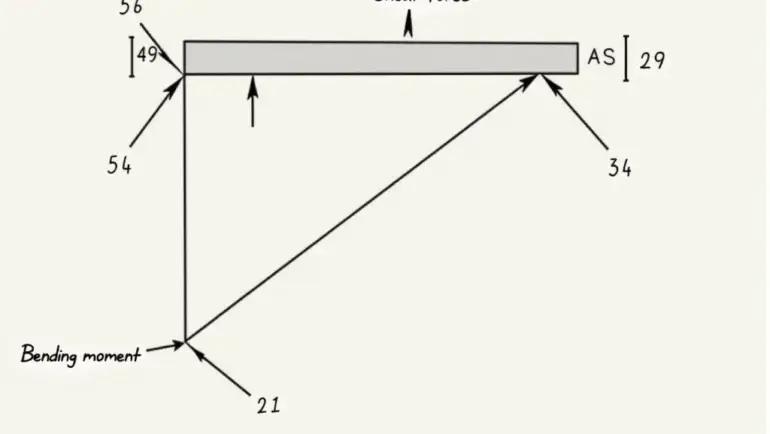 Hướng Dẫn Vẽ Biểu Đồ Nội Lực